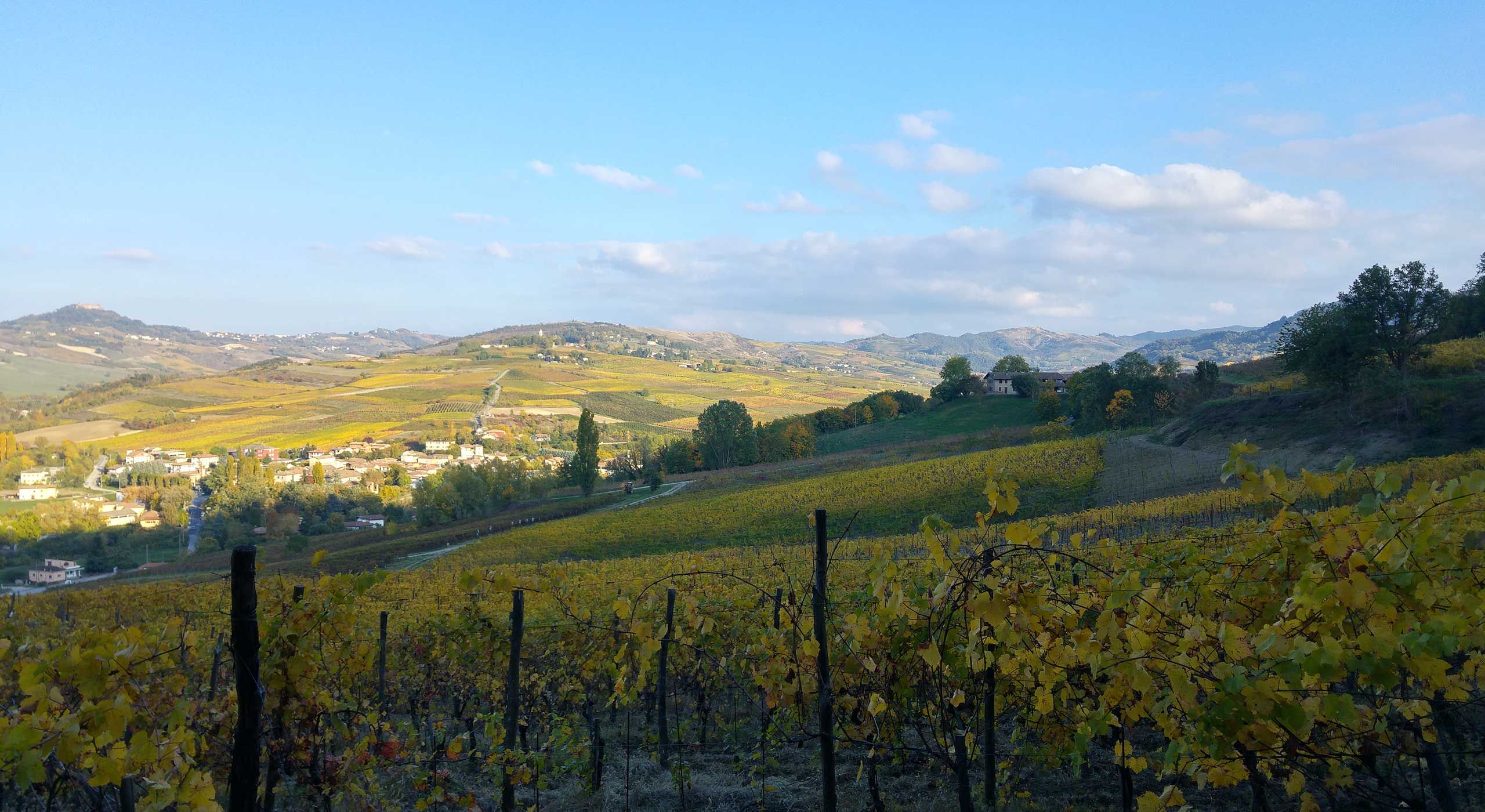 Vino Biologico Pavia Borgo Priolo Provincia di Pavia, Lombardia