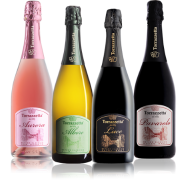 Organic sparkling wines Oltrepo Pavese Pavia Lombardy North Italy