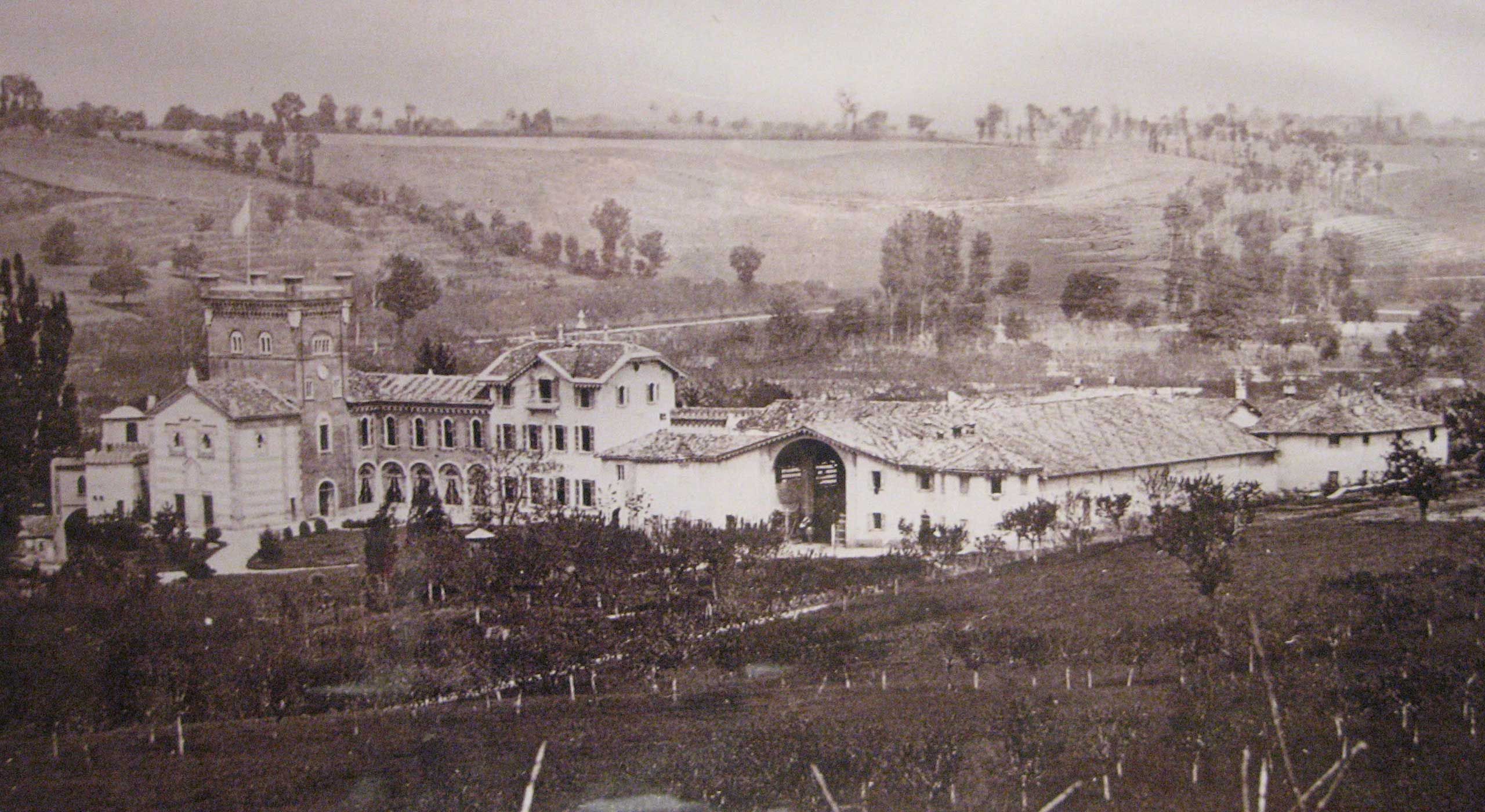 Vino Biologico Pavia Borgo Priolo Provincia di Pavia, Lombardia